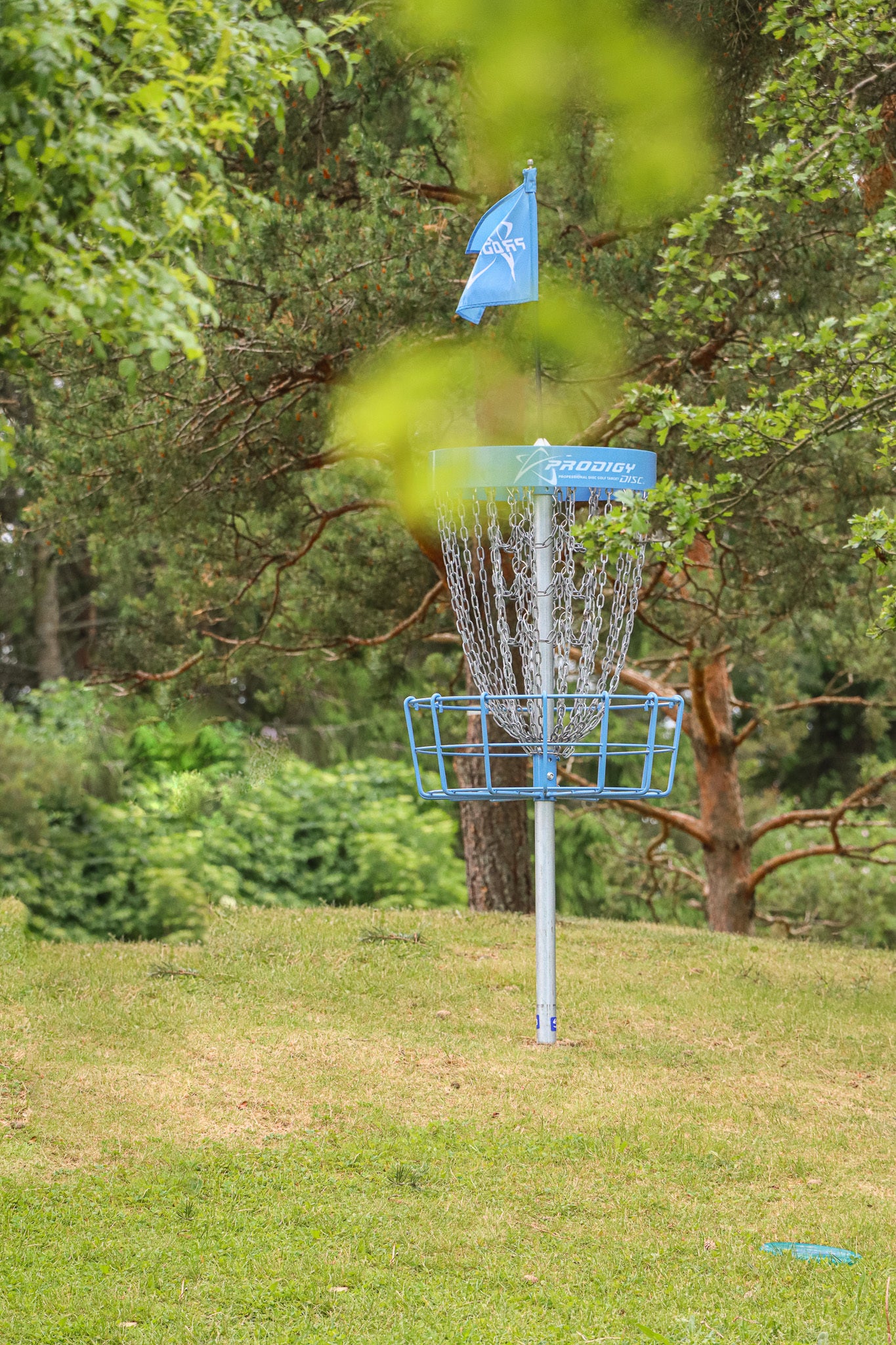 Prodigy Disc T2 Professional Target (permanent installation)