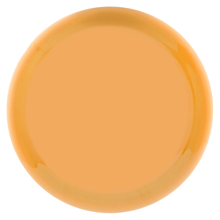 Prodigy X5 400G - Blank