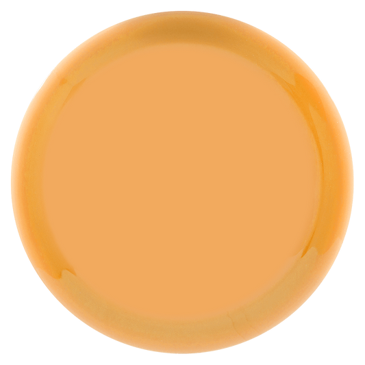 Prodigy X5 400G - Blank